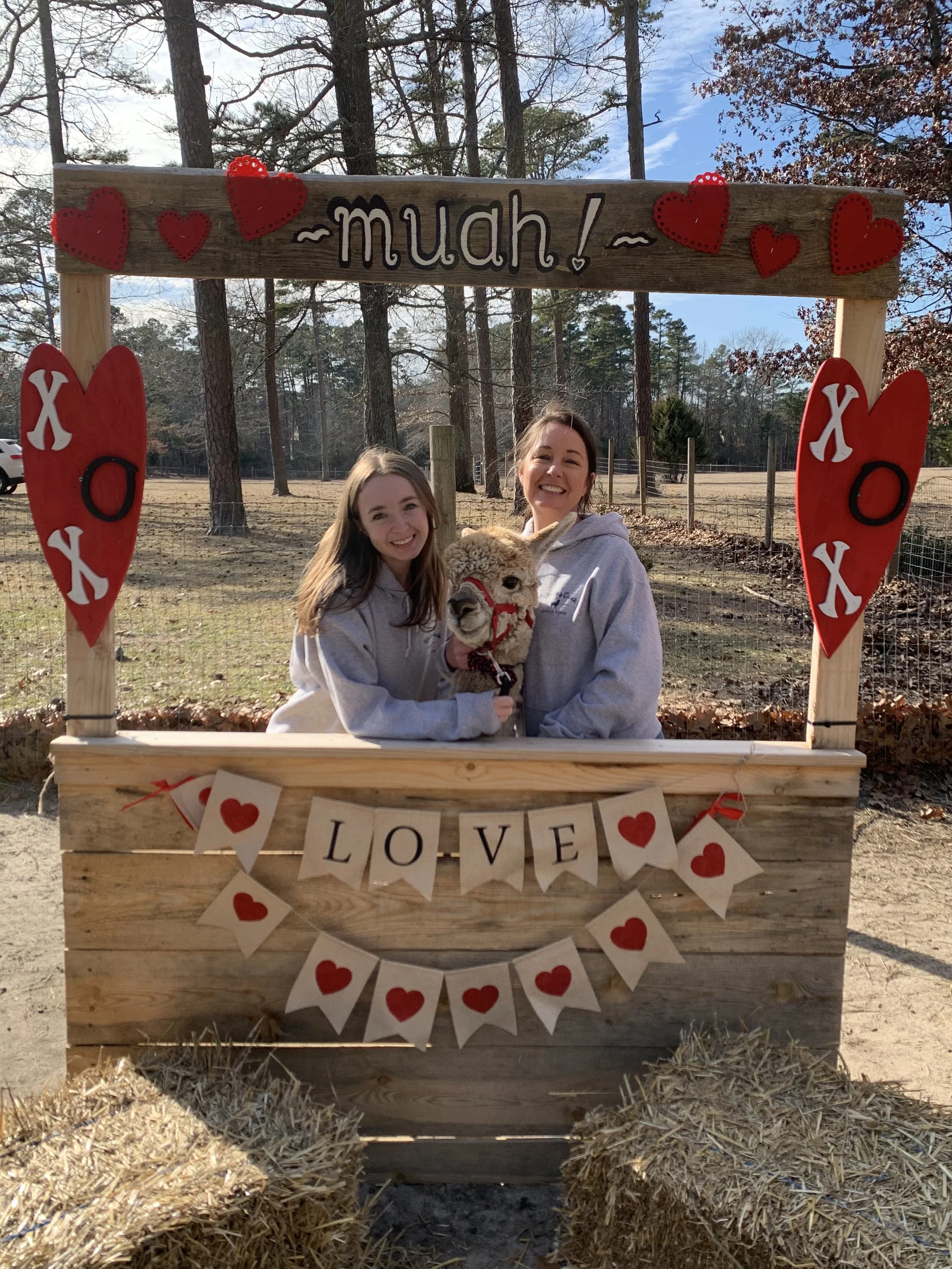 Alpaca Valentine's Day Kissing Booth