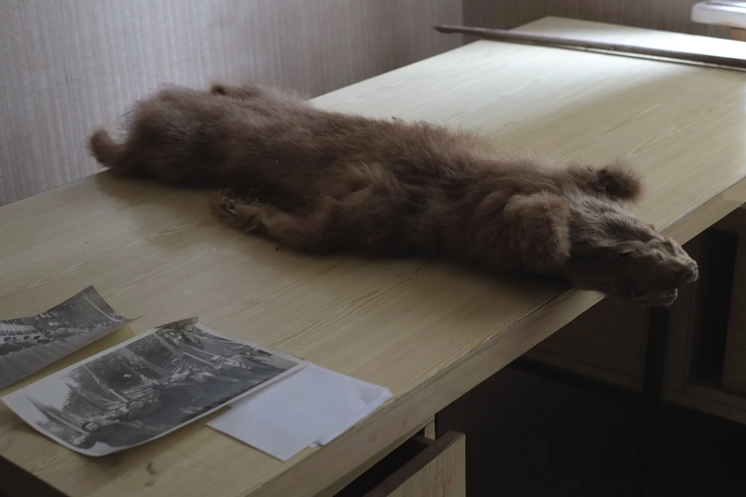 Fur.jpg