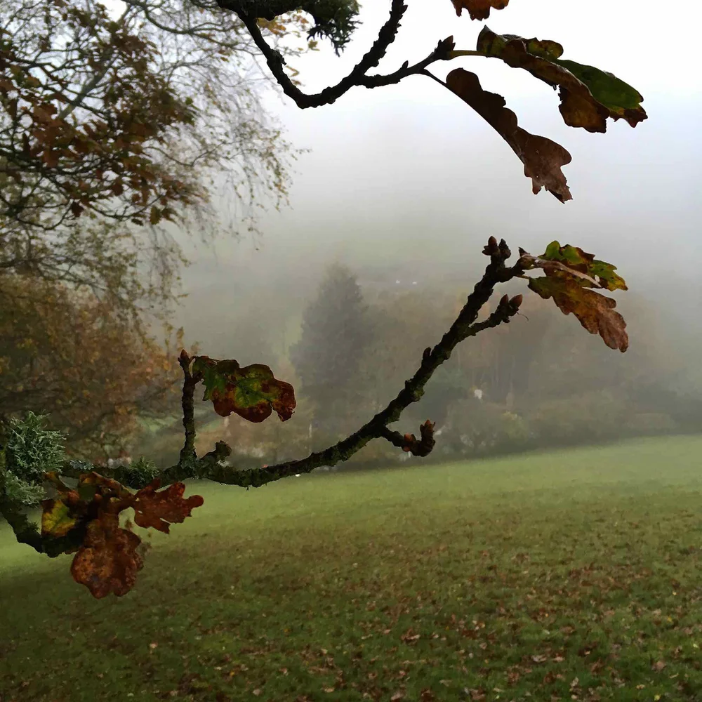 6 Ways To Make Morning Walks A Habit Walking Myfitnesspal
