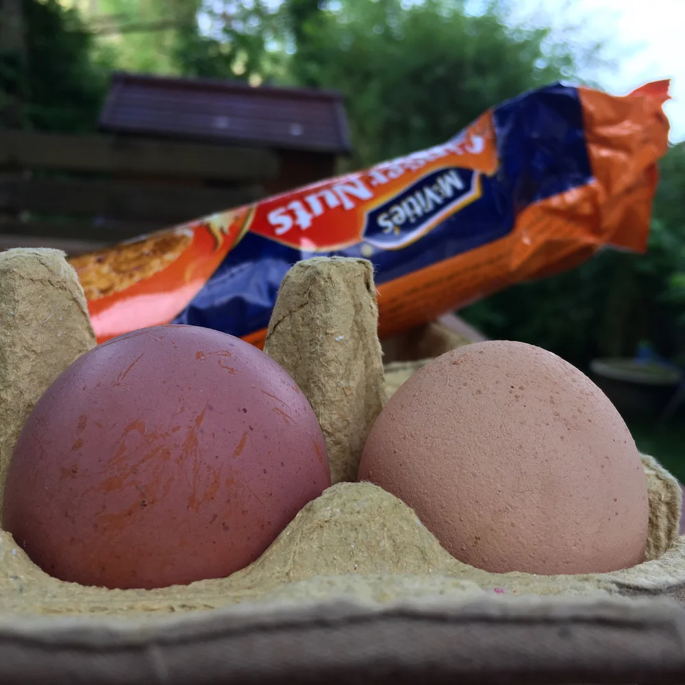 Fresh eggs and ginger nuts