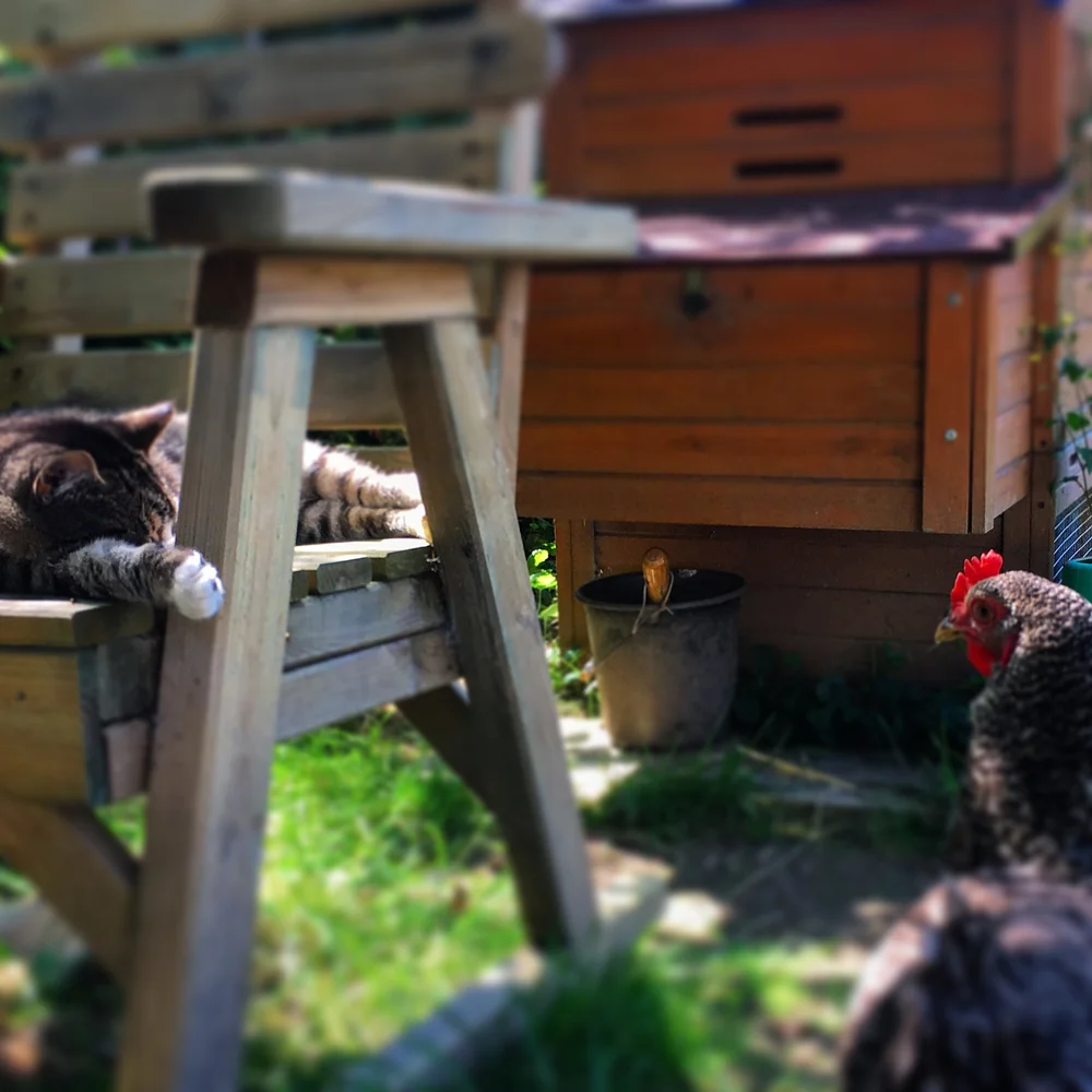 Louise keeping an eye on Ounce