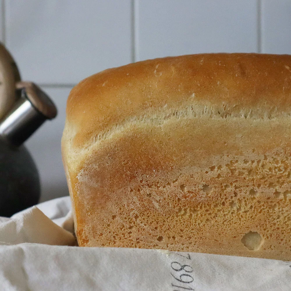 Today's loaf of bread