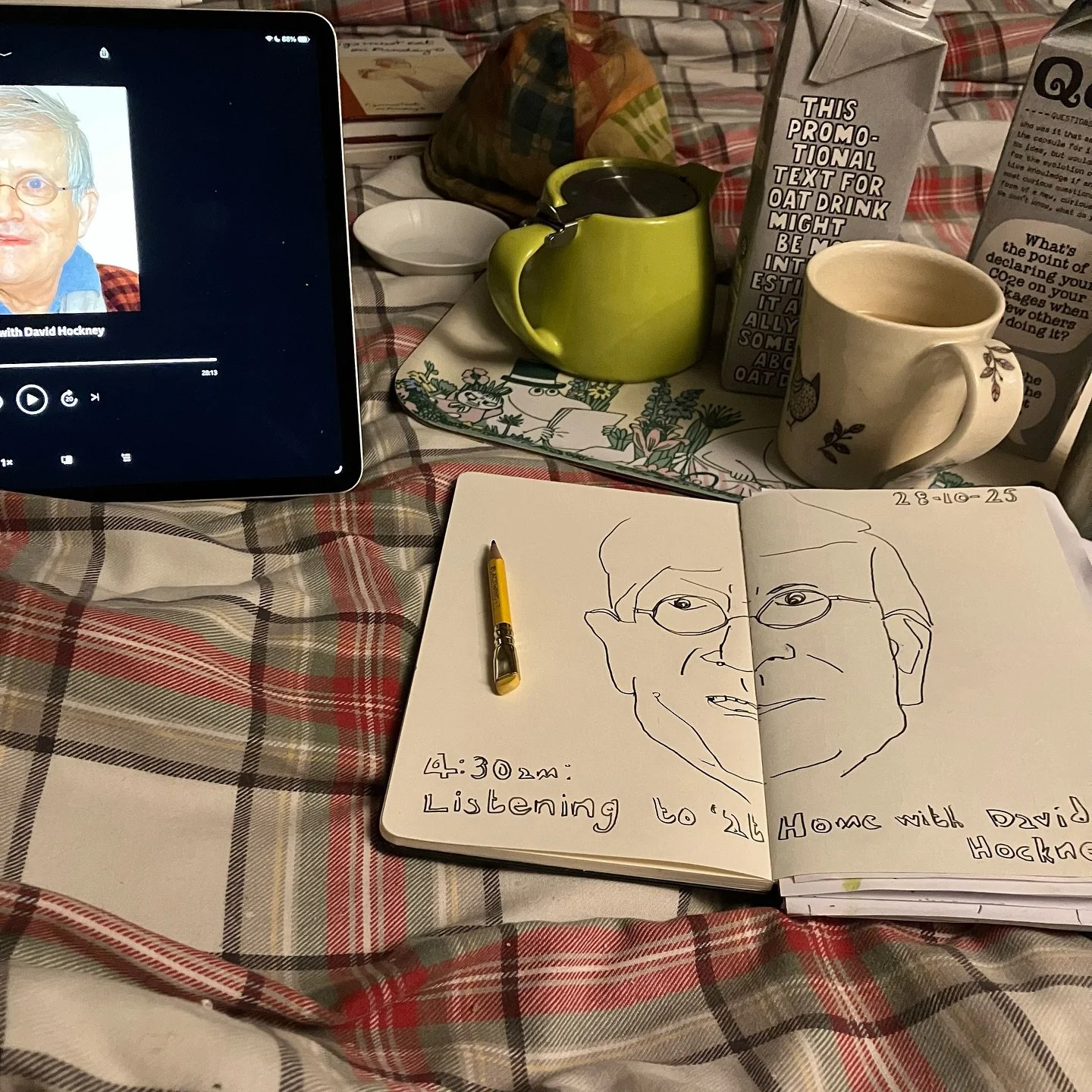 This was drawn in the early hours of this morning while listening to At Home with David Hockney on BBC Sounds — https://www.bbc.co.uk/sounds/play/b04w0b2v
I wasn’t sure that I up to drawing , but there’s something about making a tr