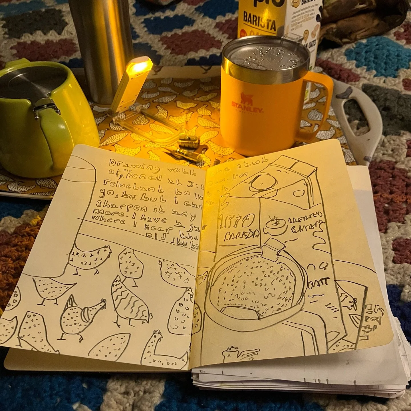 I kept things simple this morning and drew with just a pencil. ✏️😊 

Have a gentle and peaceful weekend.

Go gently ❤️🐌

#gogently #drawing #morningdrawing #pencildrawing #dailypractice #dailyart #quietcreatives #slowlivingart #drawingroutine #arti