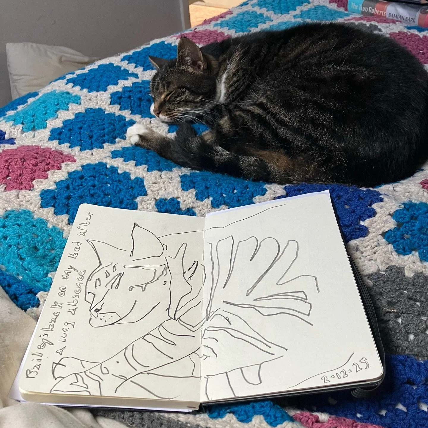 It&rsquo;s lovely to have Bailey back on my bed after a long absence. He&rsquo;s just been diagnosed as hyperthyroid and has been on something called Thyronorm for a little over a week.

His return to keeping me company feels like a good sign that th