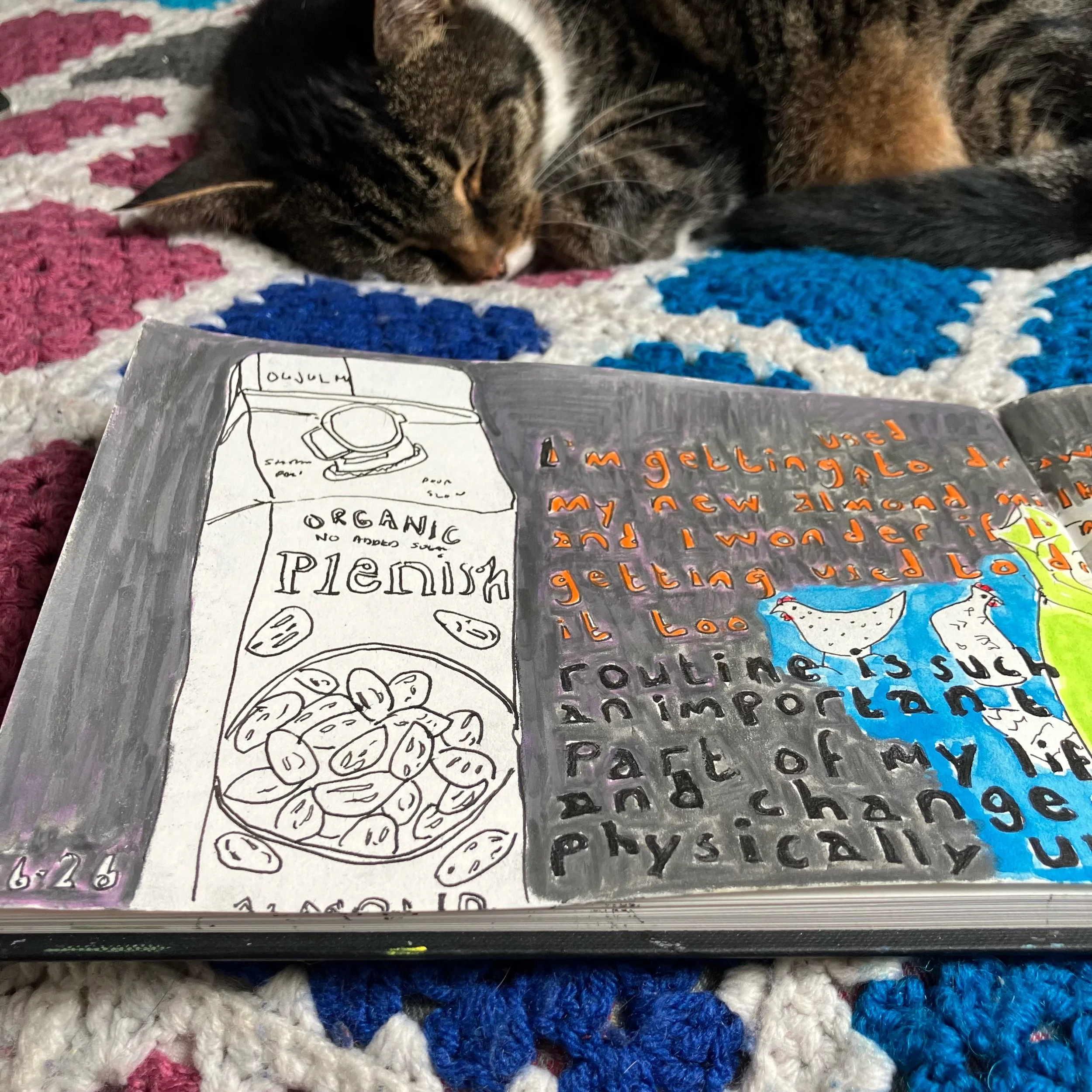 I&rsquo;m using beautiful Bailey to help distract from the fact that I can&rsquo;t get a decent photo of today&rsquo;s tea-tray drawing.

It&rsquo;s oddly shiny, which means the text isn&rsquo;t very readable in a photograph. I&rsquo;ve included some