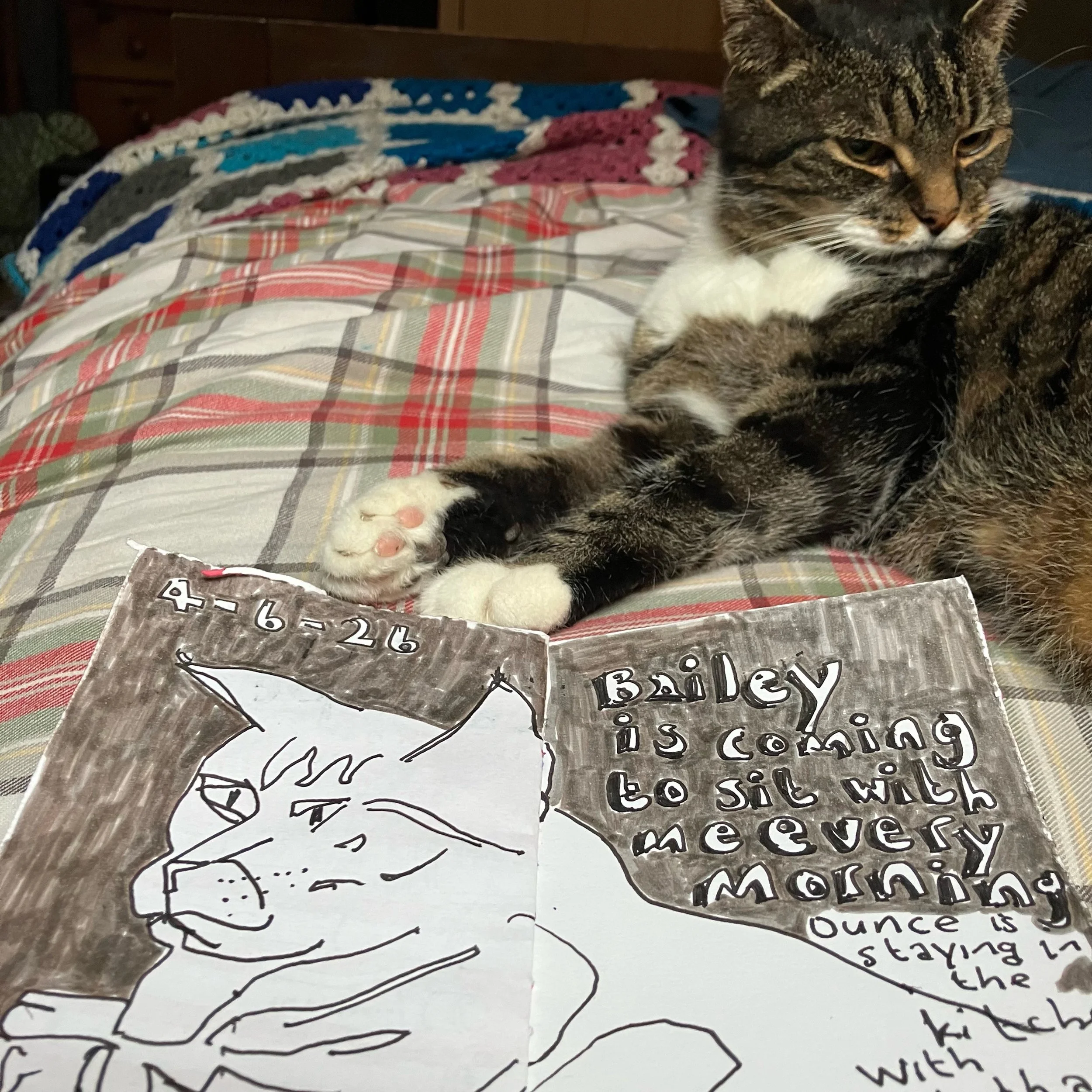 I&rsquo;m not sleeping too well at the moment and have been waking early, so I&rsquo;m very appreciative that Bailey is coming to sit with me and keep me company in the early hours.

Ounce is staying in the kitchen, curled up with Tabitha &mdash; the