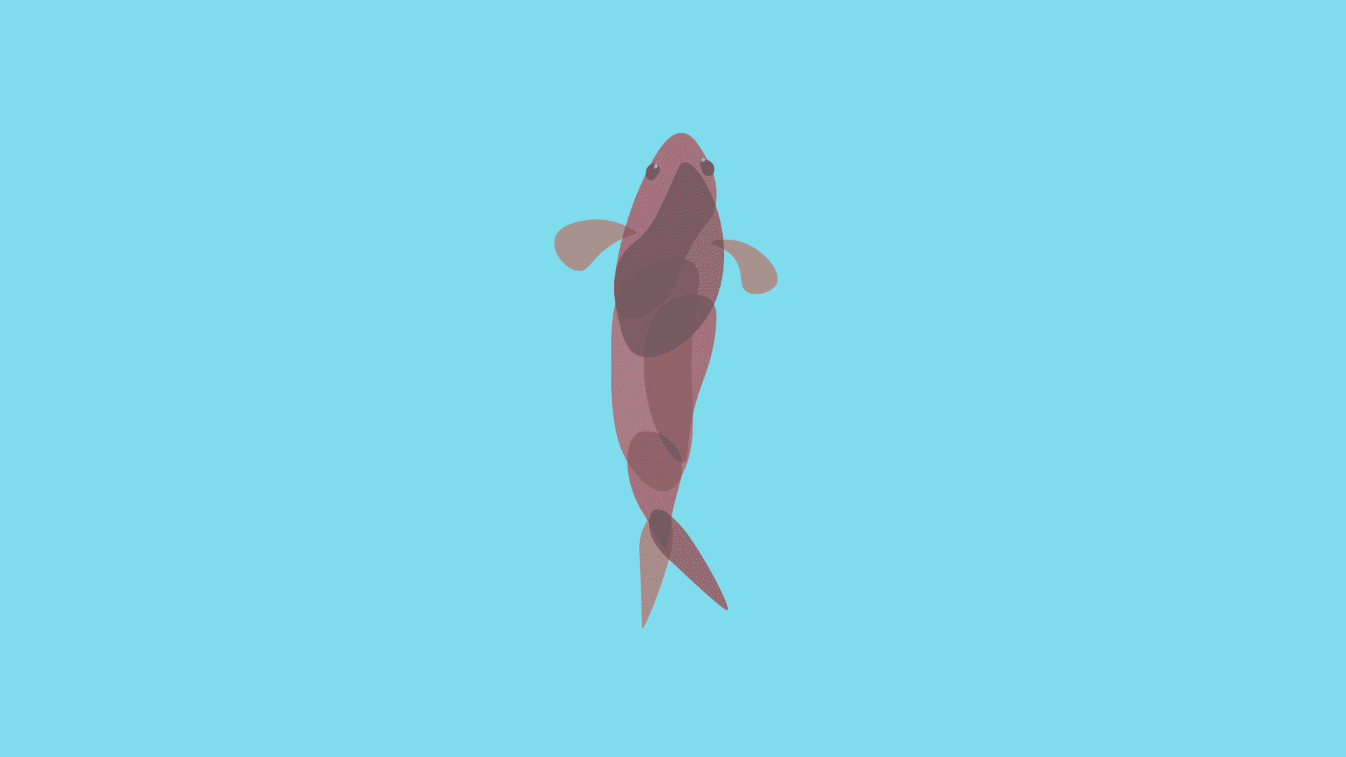 fish.gif