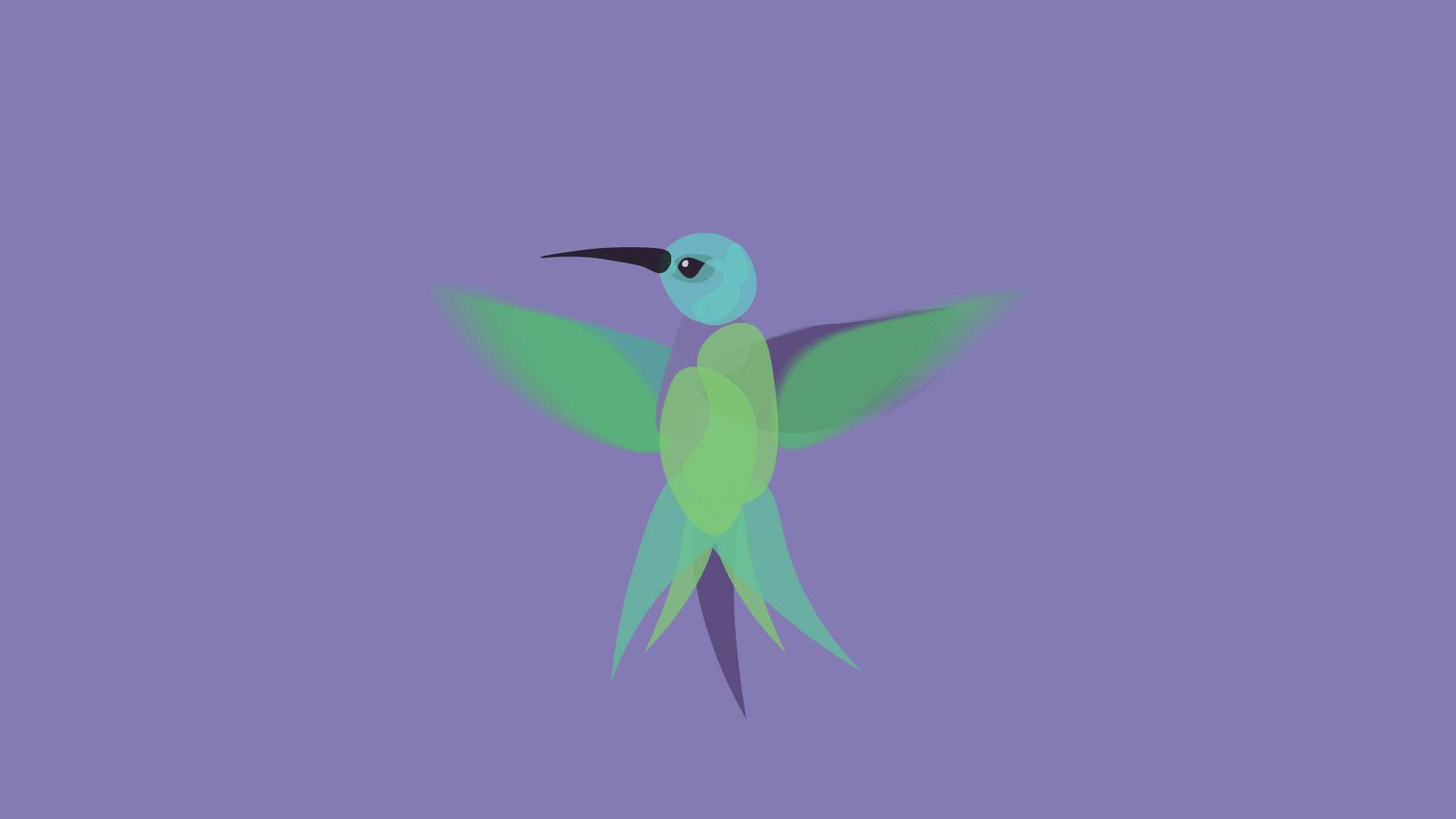 hummingbird2.gif