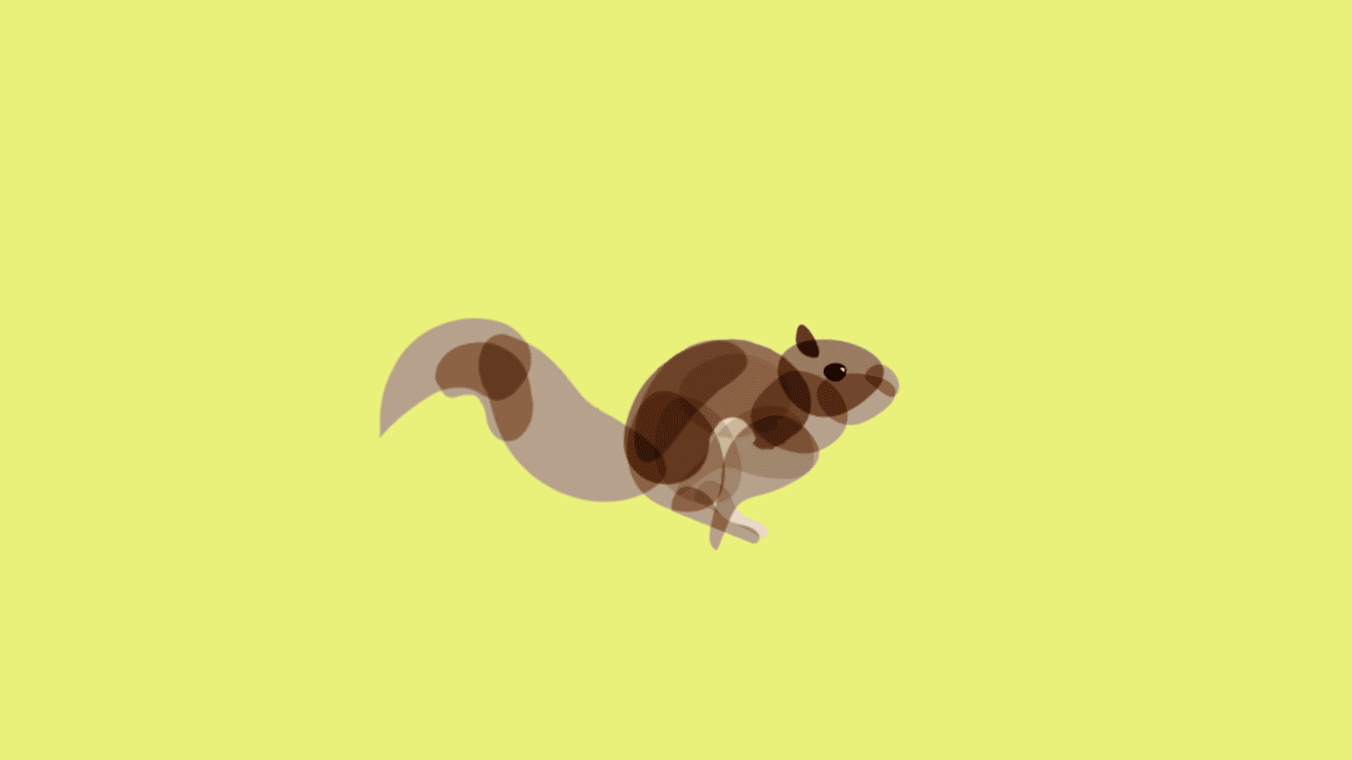 squirrel.gif