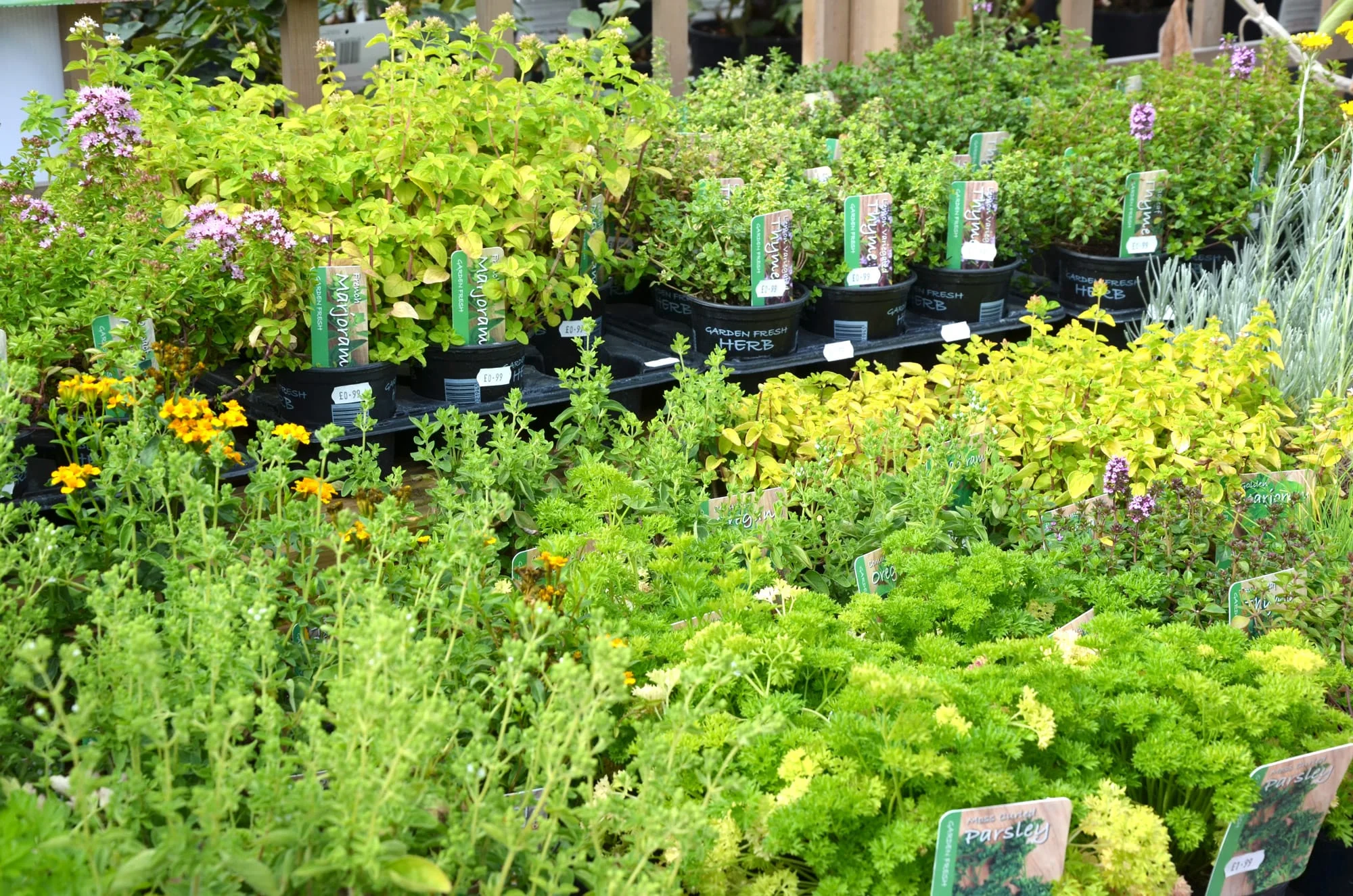 Garden Centre in Essex — Lower Barn Farm