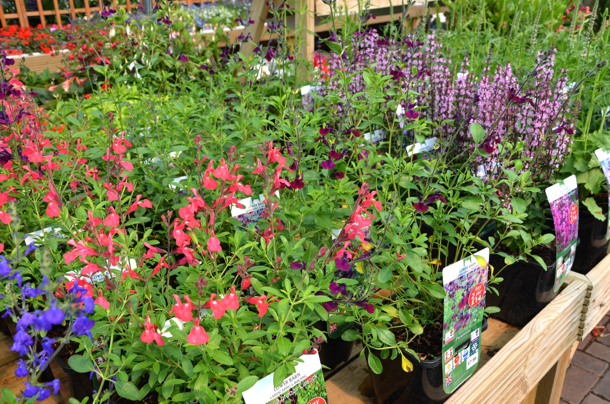 Garden Centre in Essex — Lower Barn Farm