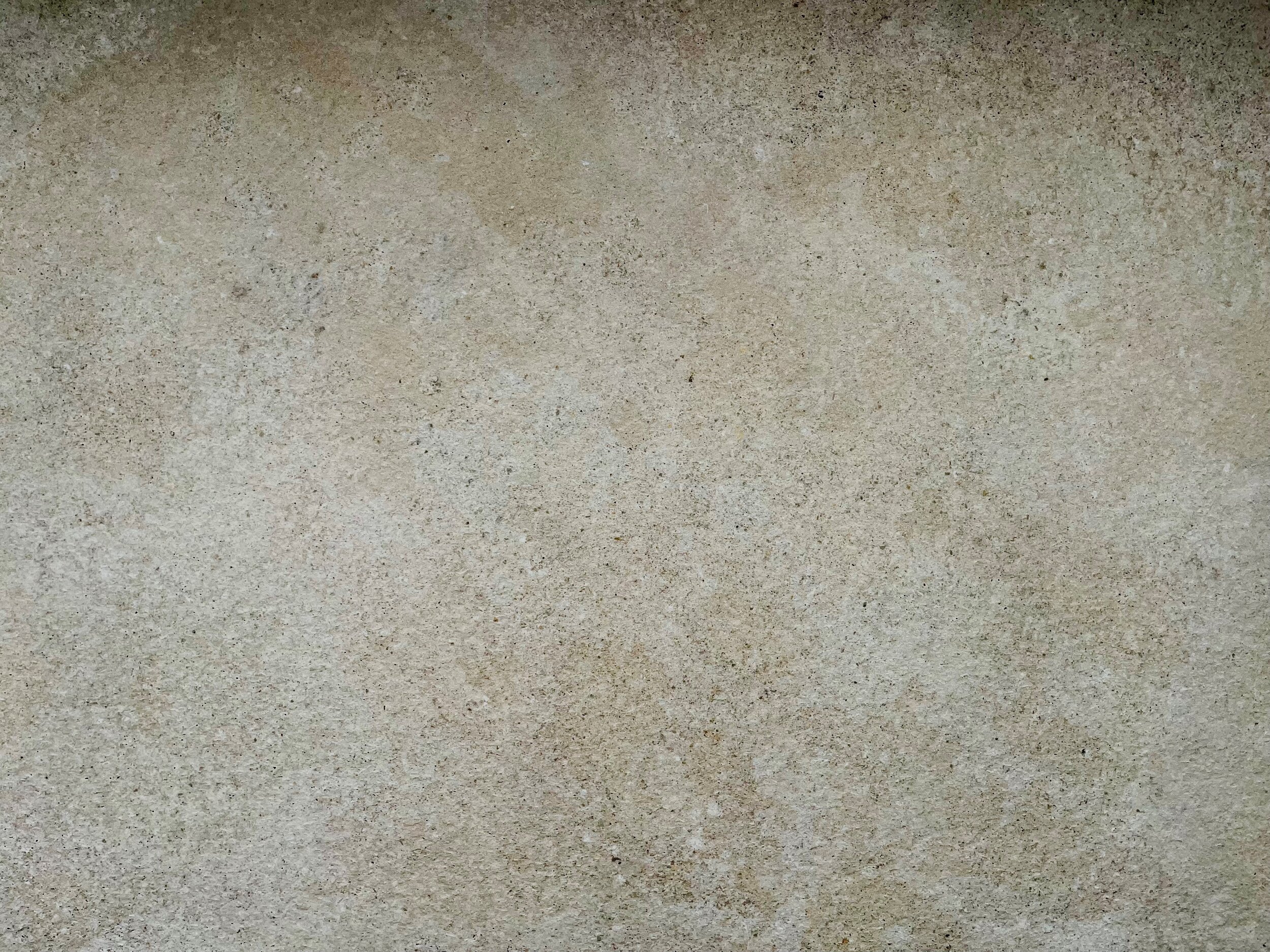 TRADITION WHITE 1200 X 600.jpg