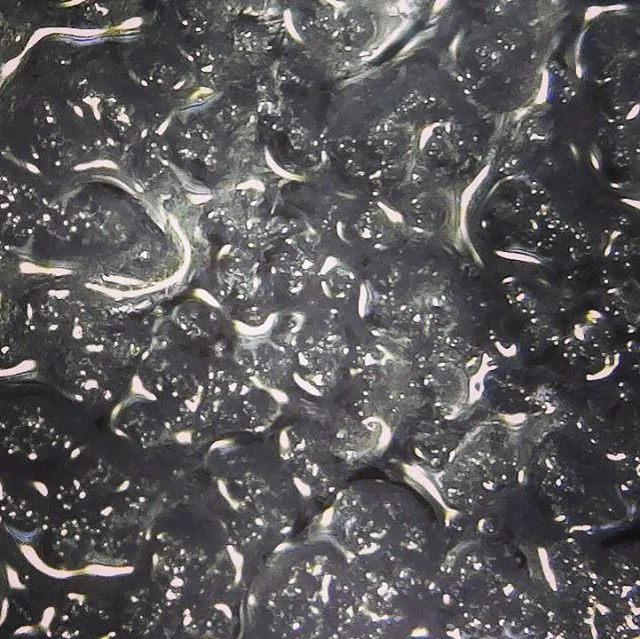 Album Art #psychedelicart #coverart #psychedelic #coverartdesign #coverartwork #psychonaut #microscopy #microscopic