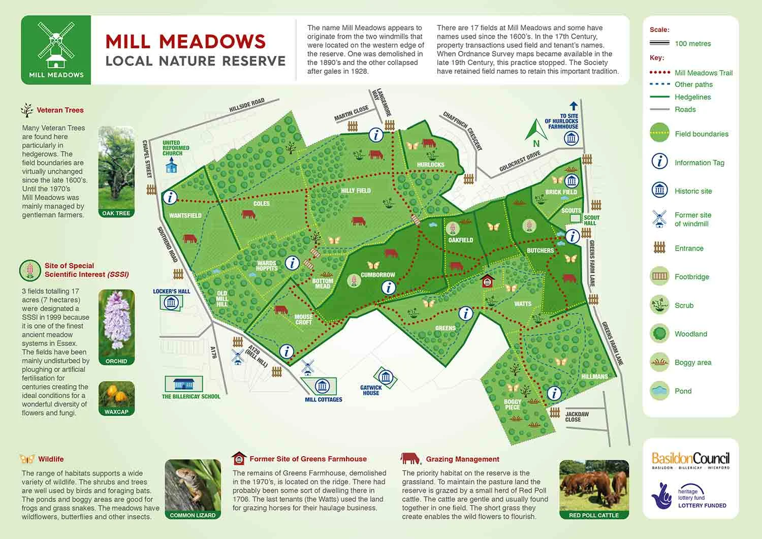Mill Meadows nature reserve in Billericay Essex trail map