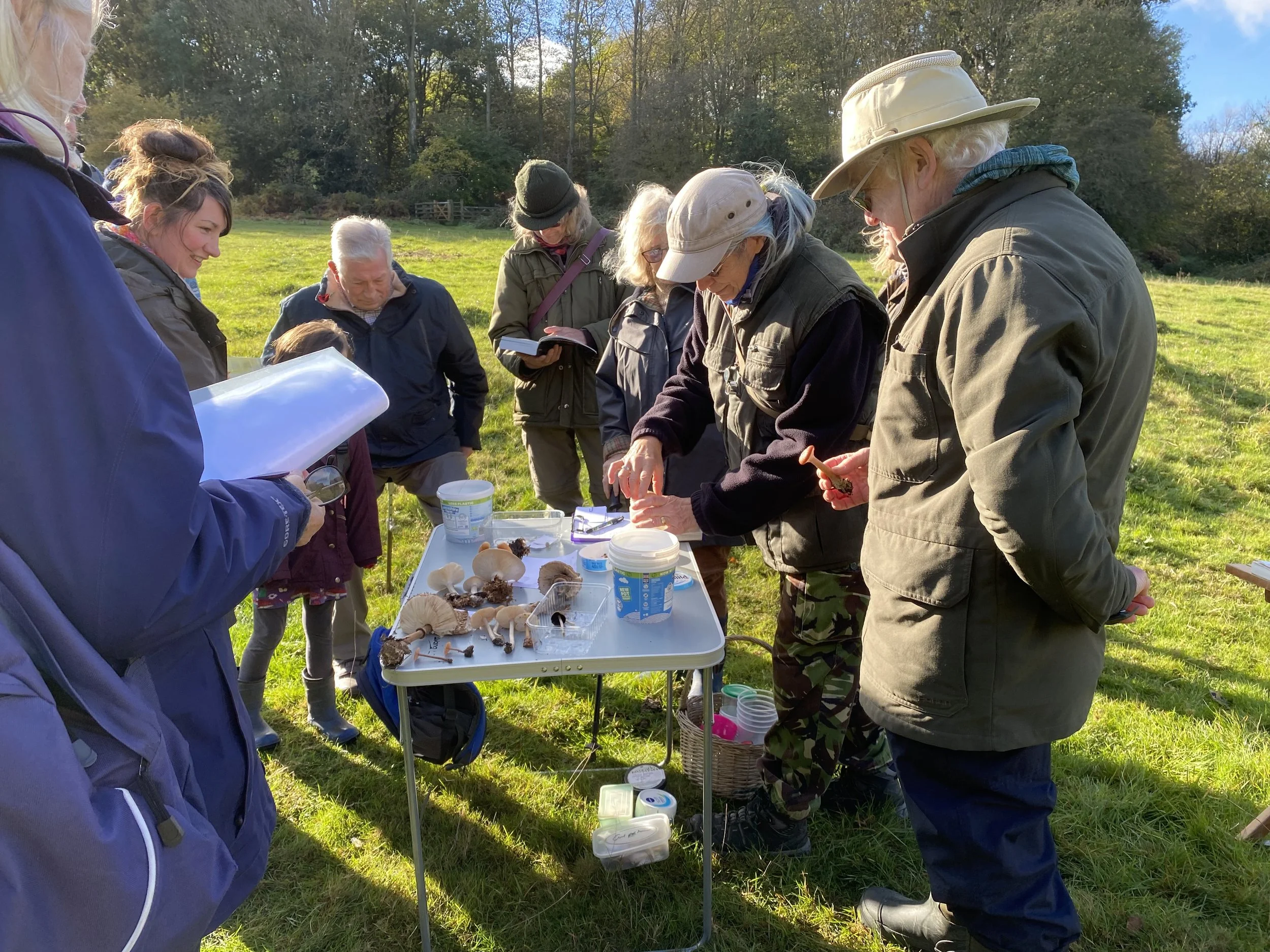 Fungi Walk &amp; Talk 