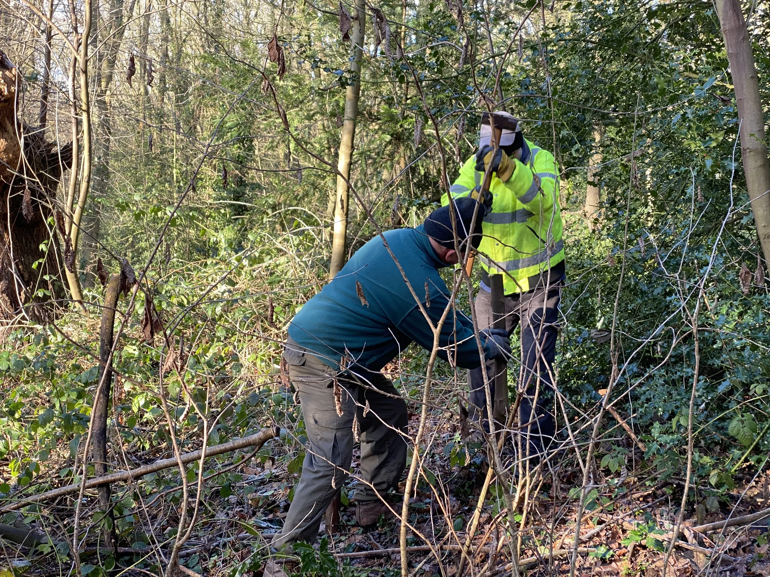  February Midweek Work Party 