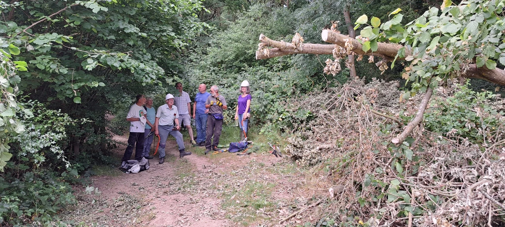 July Midweek Work Party