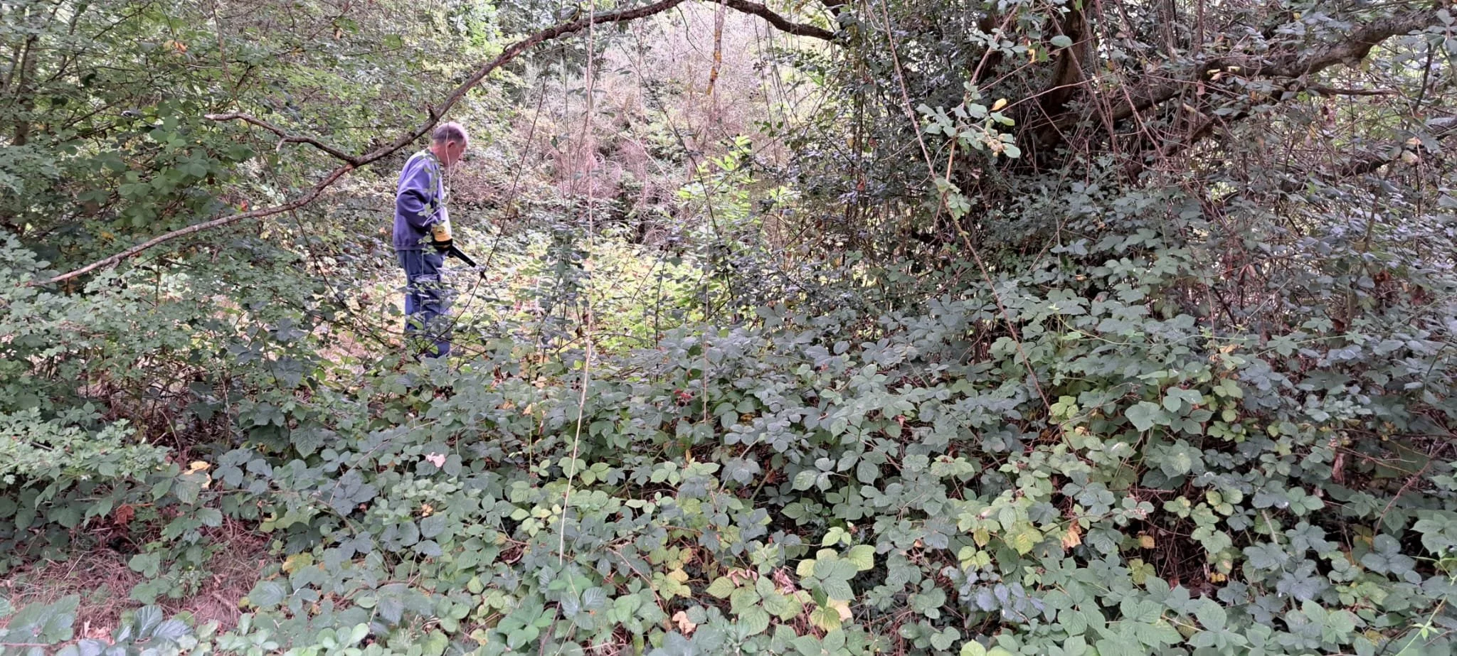 September Midweek Guided Walk or Work Party