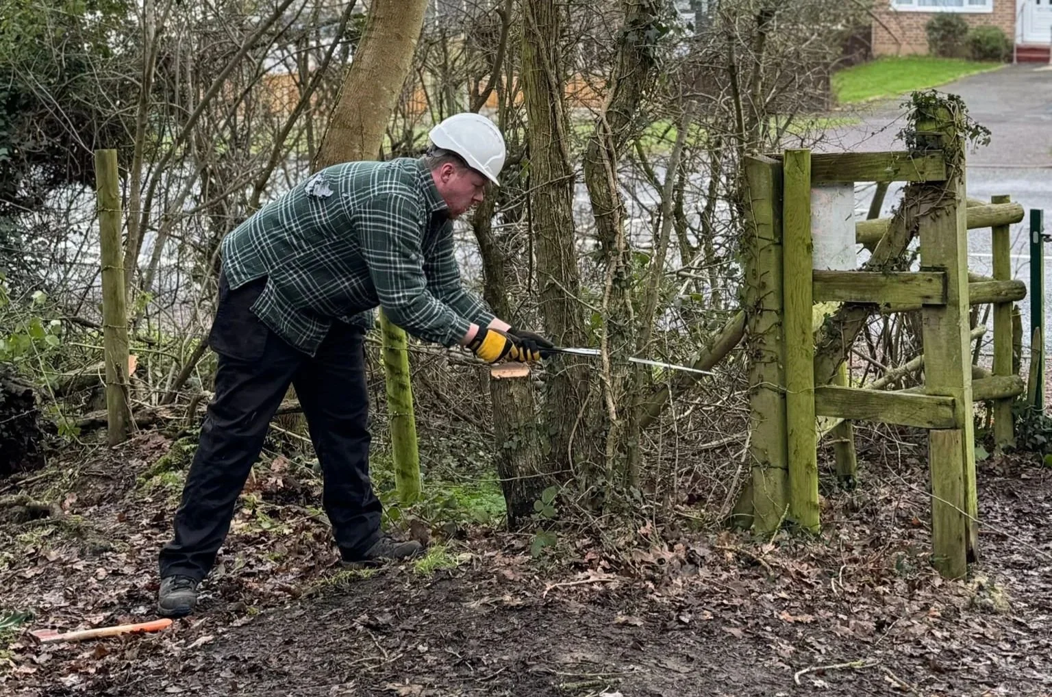 SATURDAY GUIDED WALK OR WORK PARTY