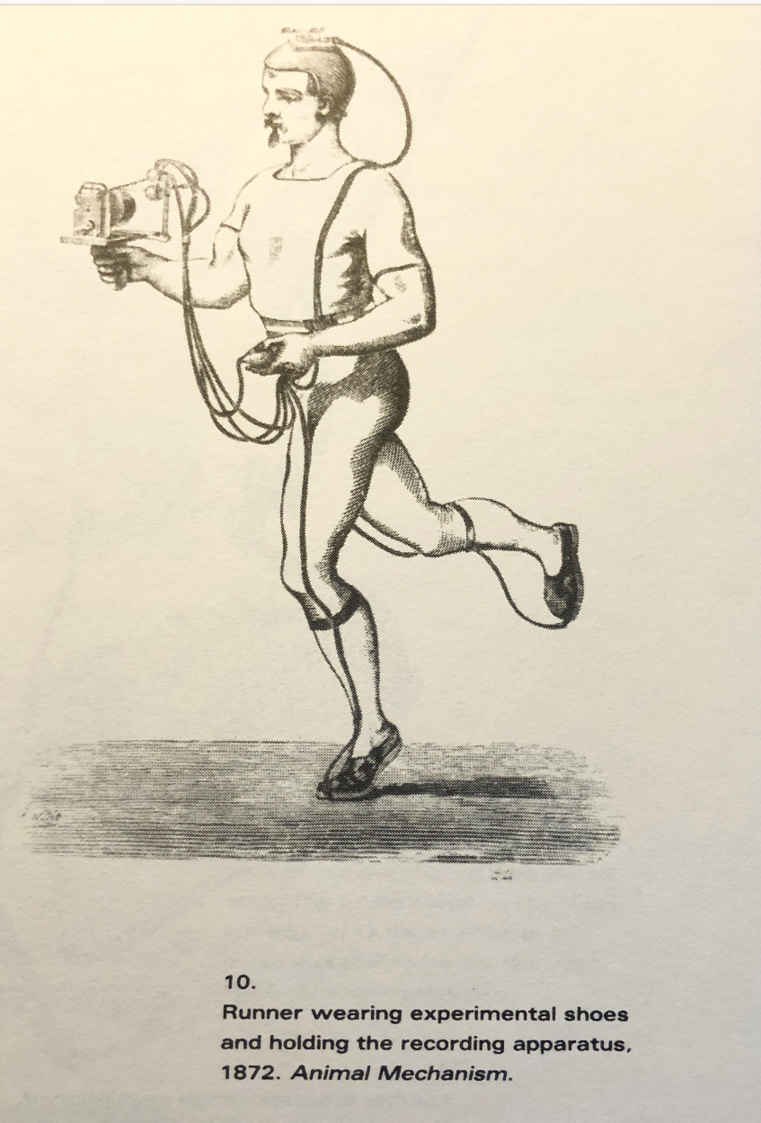 Screen Shot 2018-04-26 at 2.06.33 PM.png