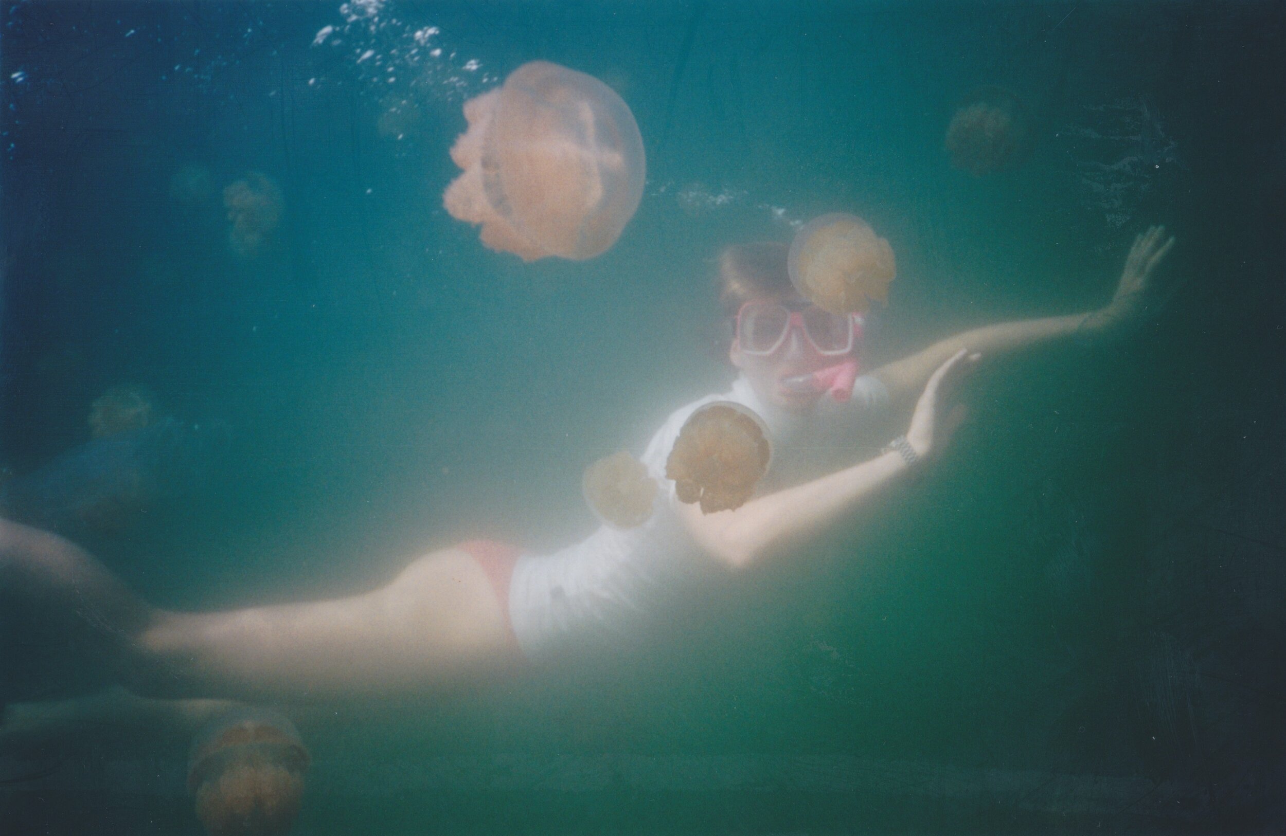 Jellyfish Lake, Palau