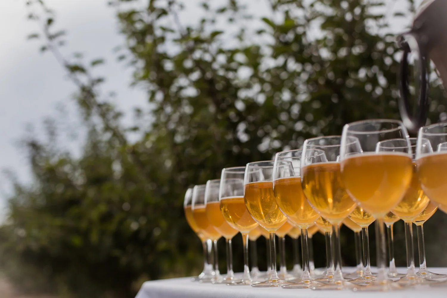 Hard Ciders — Oak Glen Cider Co