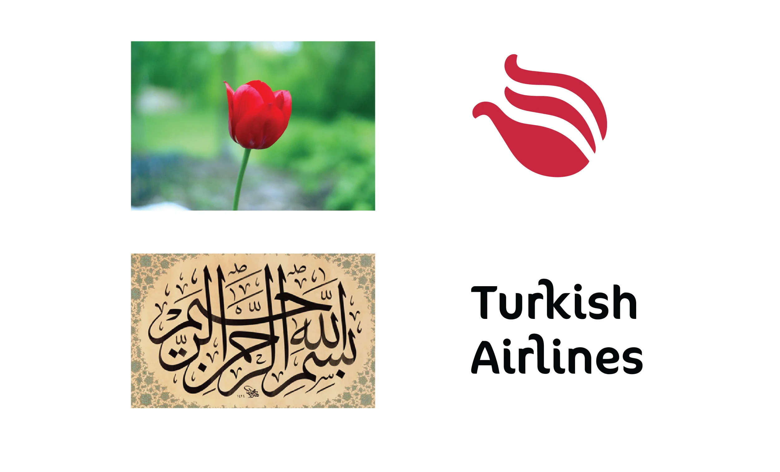 Behance Turkish Airlines-01.jpg