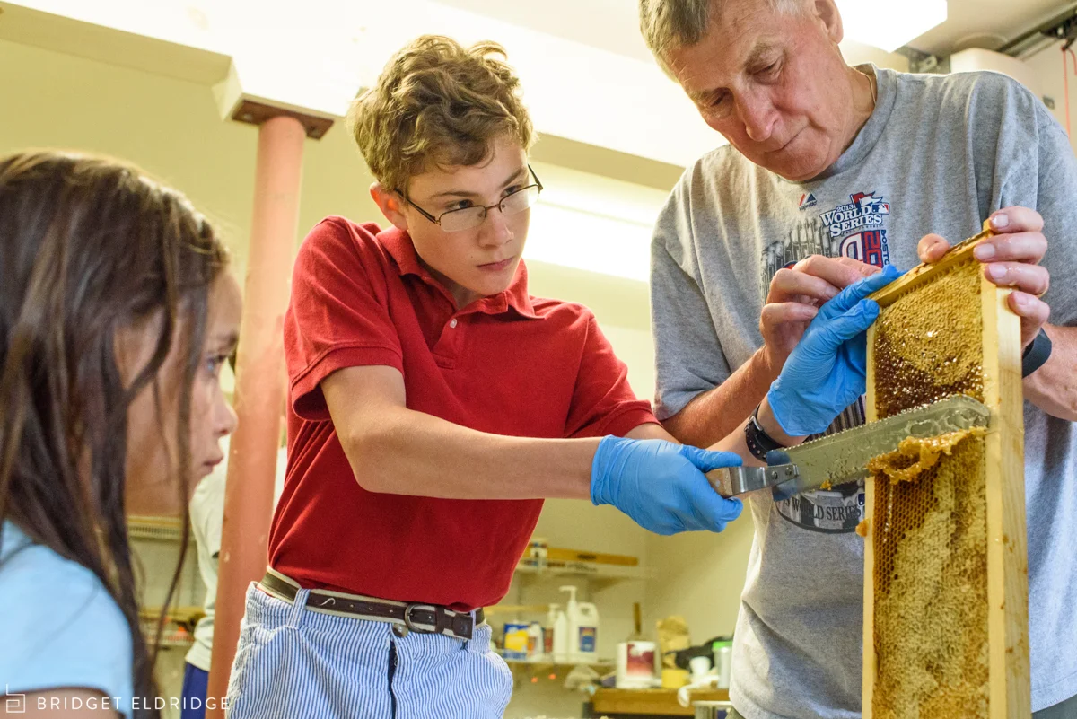 boy scraps off honeycomb with grandfather
