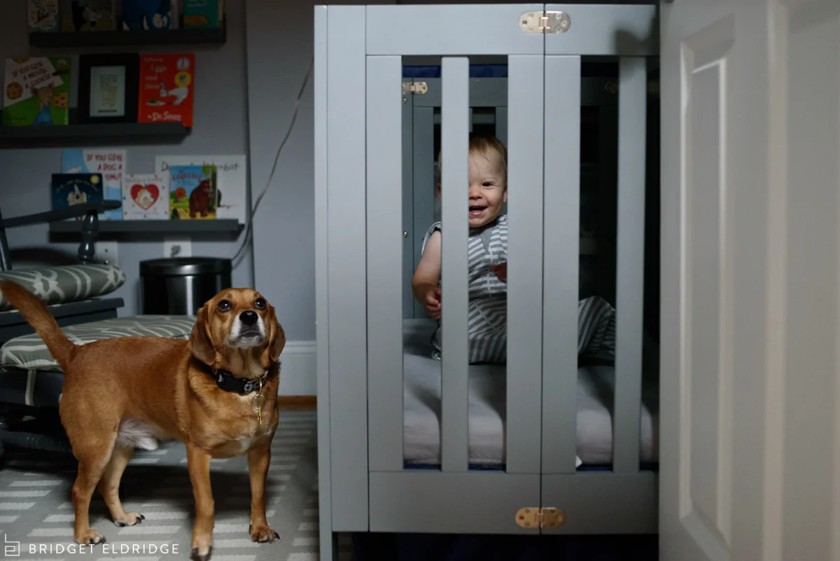 Charlie the family dog joins mom as she gets Connor from his nap.