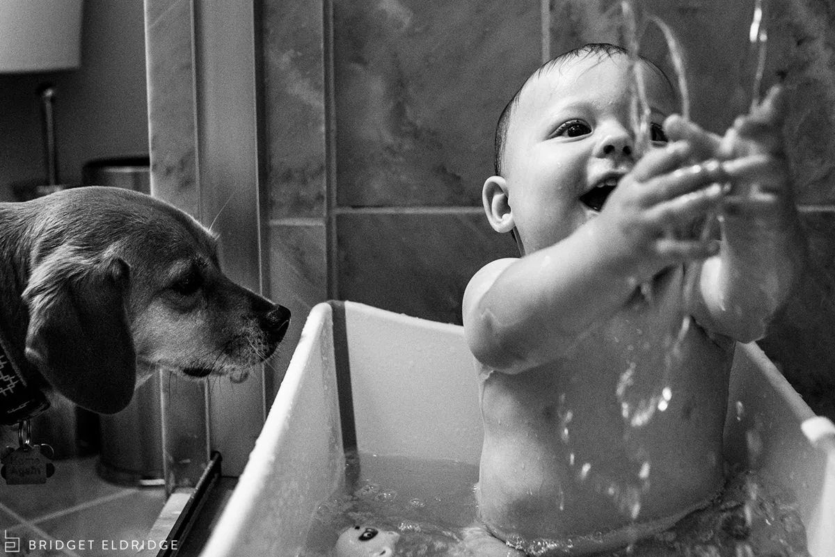 Charlie the family dog participates in bath time.