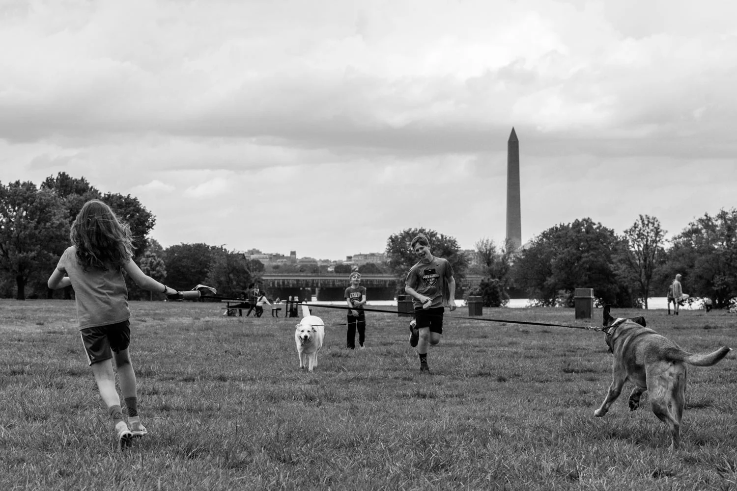 kids run with dogs at gravelly point park in arlington, va