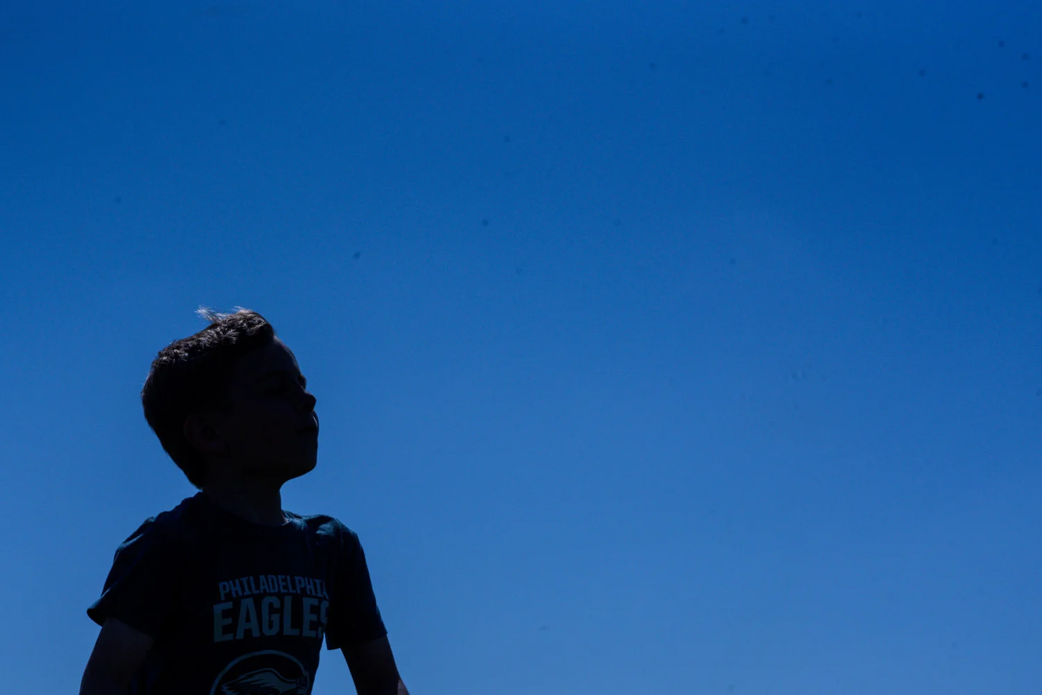 silhouette of a boy in arlington va