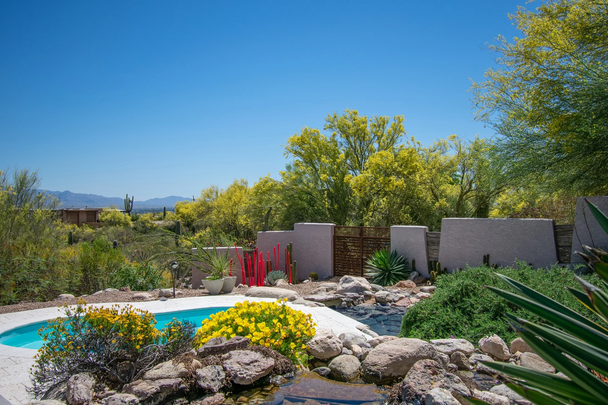 Pool/Pond