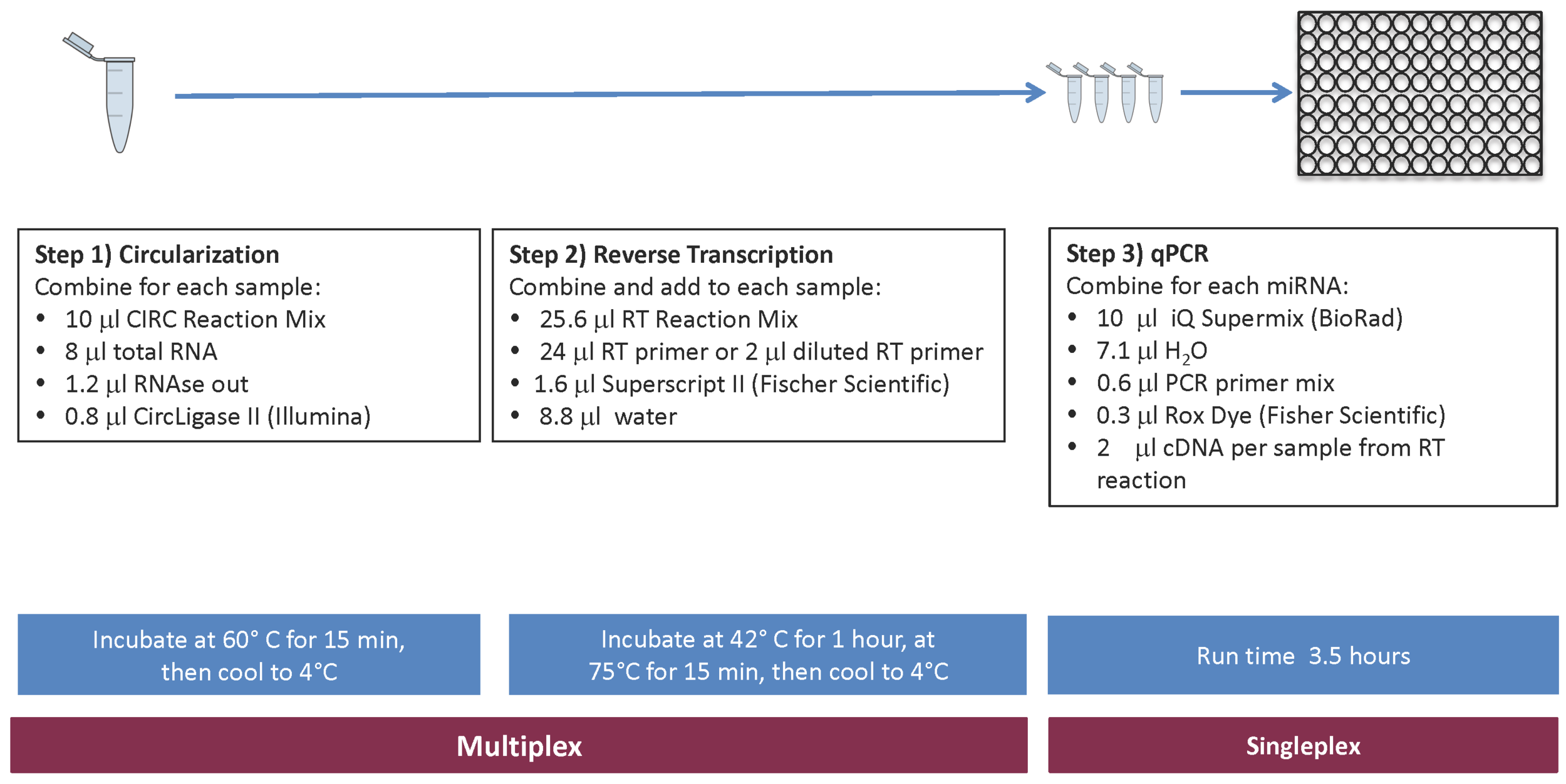 Library preparation takes approximately 8 hours for sequence-ready samples