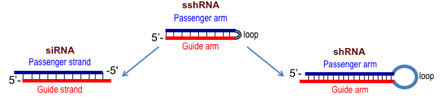 RNAi_comparisons.png