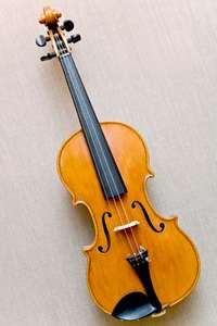 violin.jpg