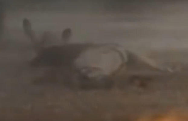 got3.png