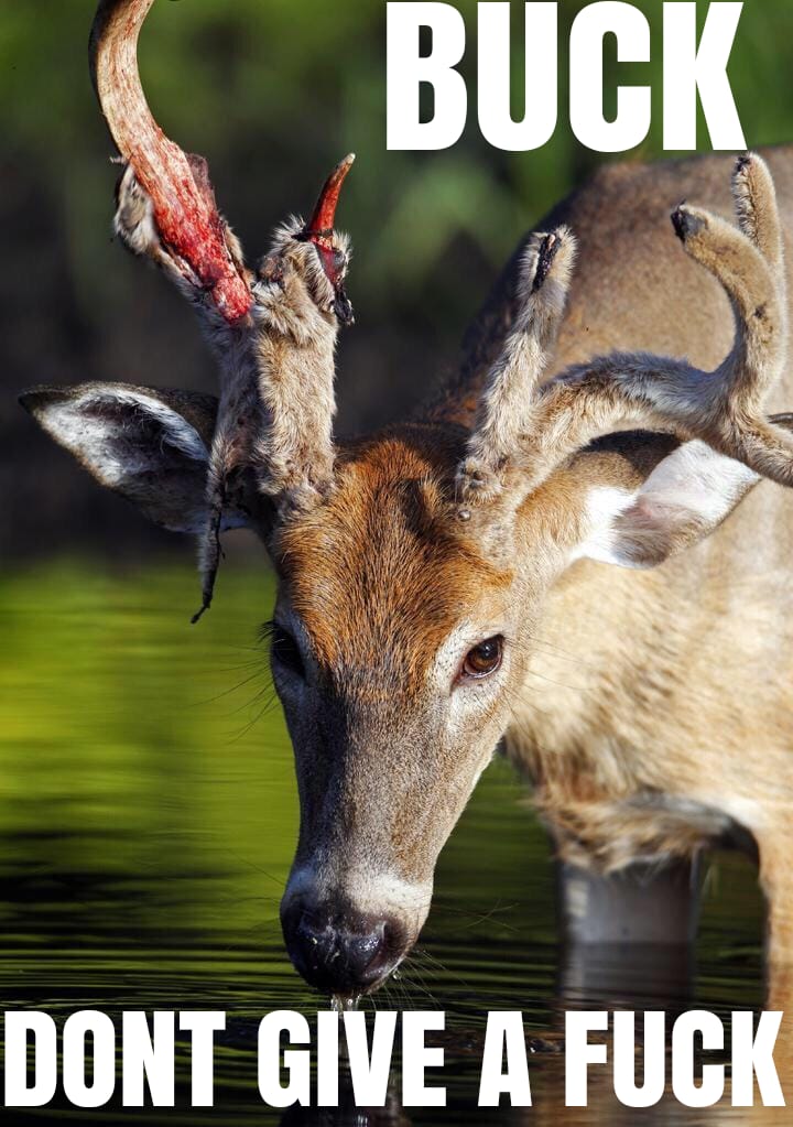 buckgiveafuck.jpg