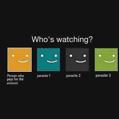 netflix.jpeg