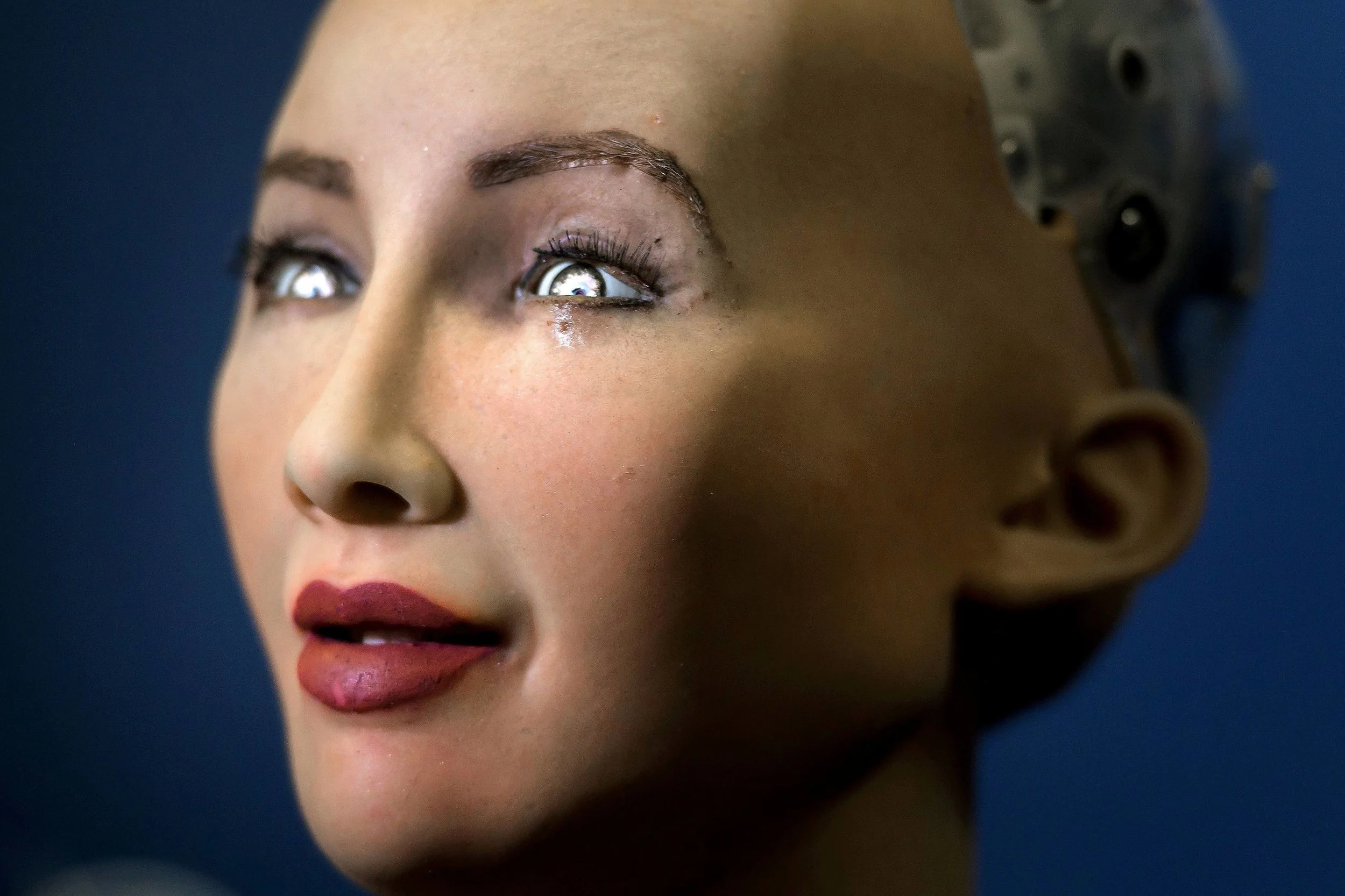 facerobot.jpg
