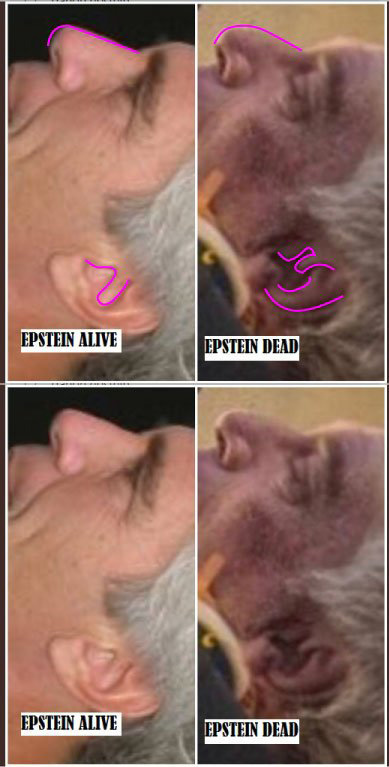 epsteinswapped.jpg