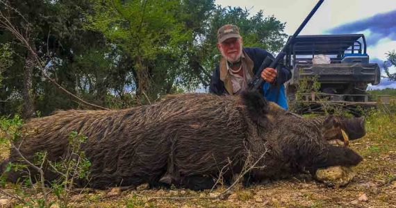 feralhog.jpg