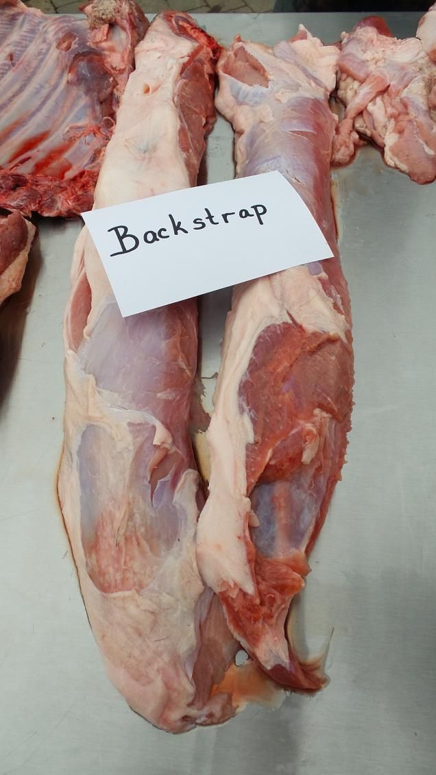 backstrap2.jpg