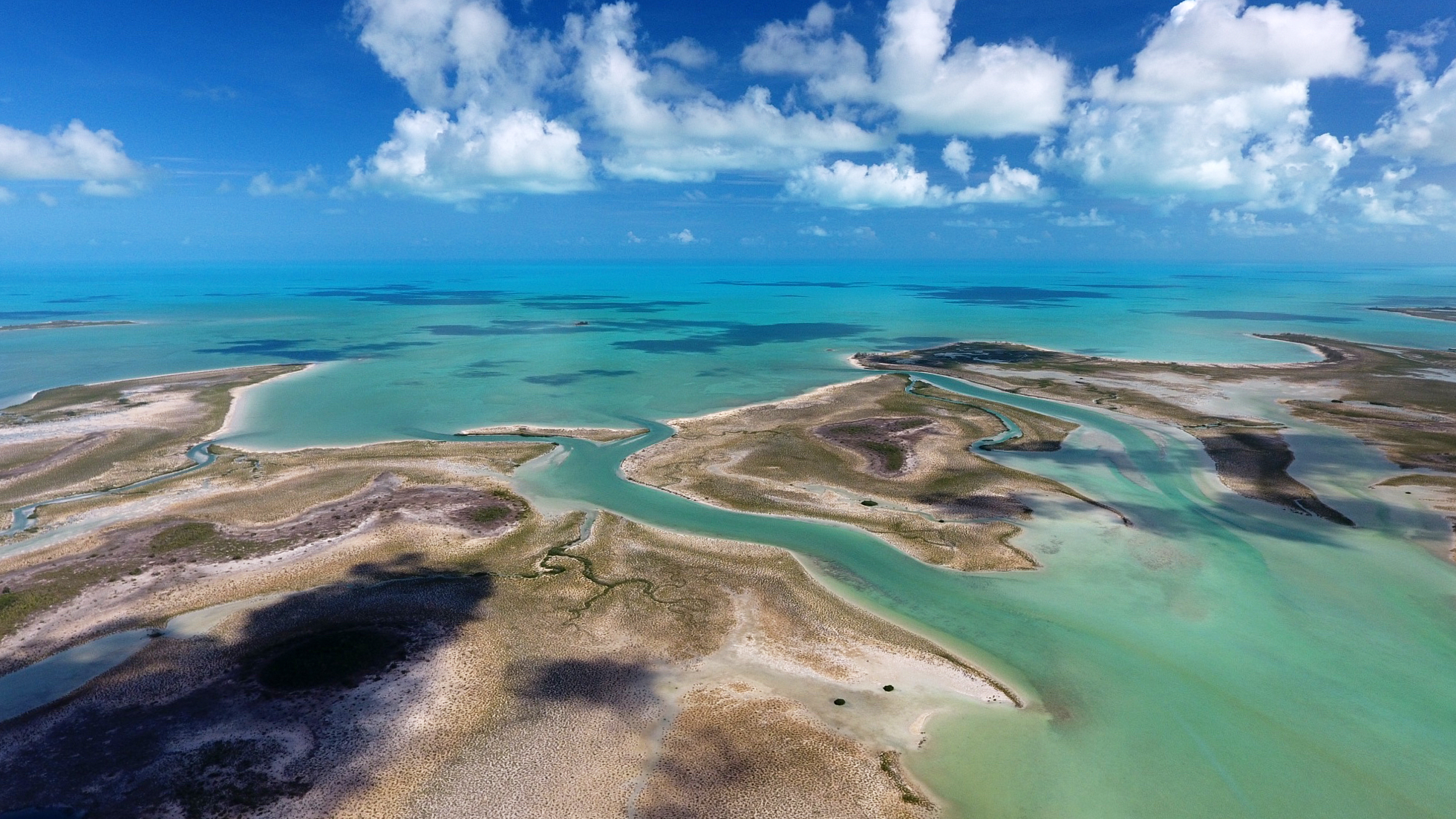 Andros Island - Bahamas - Photo by Michael Scholl - © Save Our Seas Foundation Copyright - DJI_0036.jpg