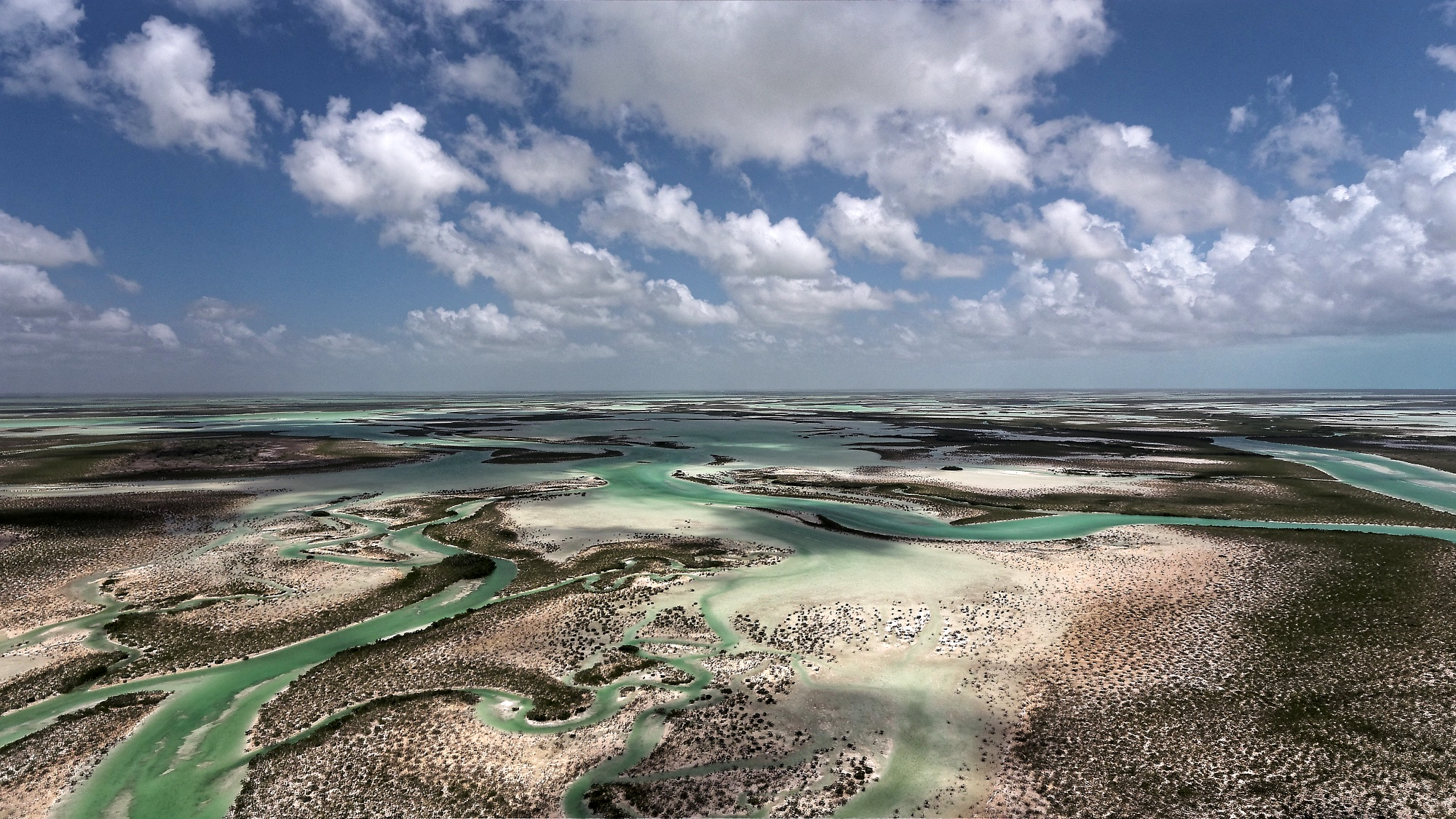 Andros Island - Bahamas - Photo by Michael Scholl - © Save Our Seas Foundation Copyright - DJI_0060_DxO.jpg