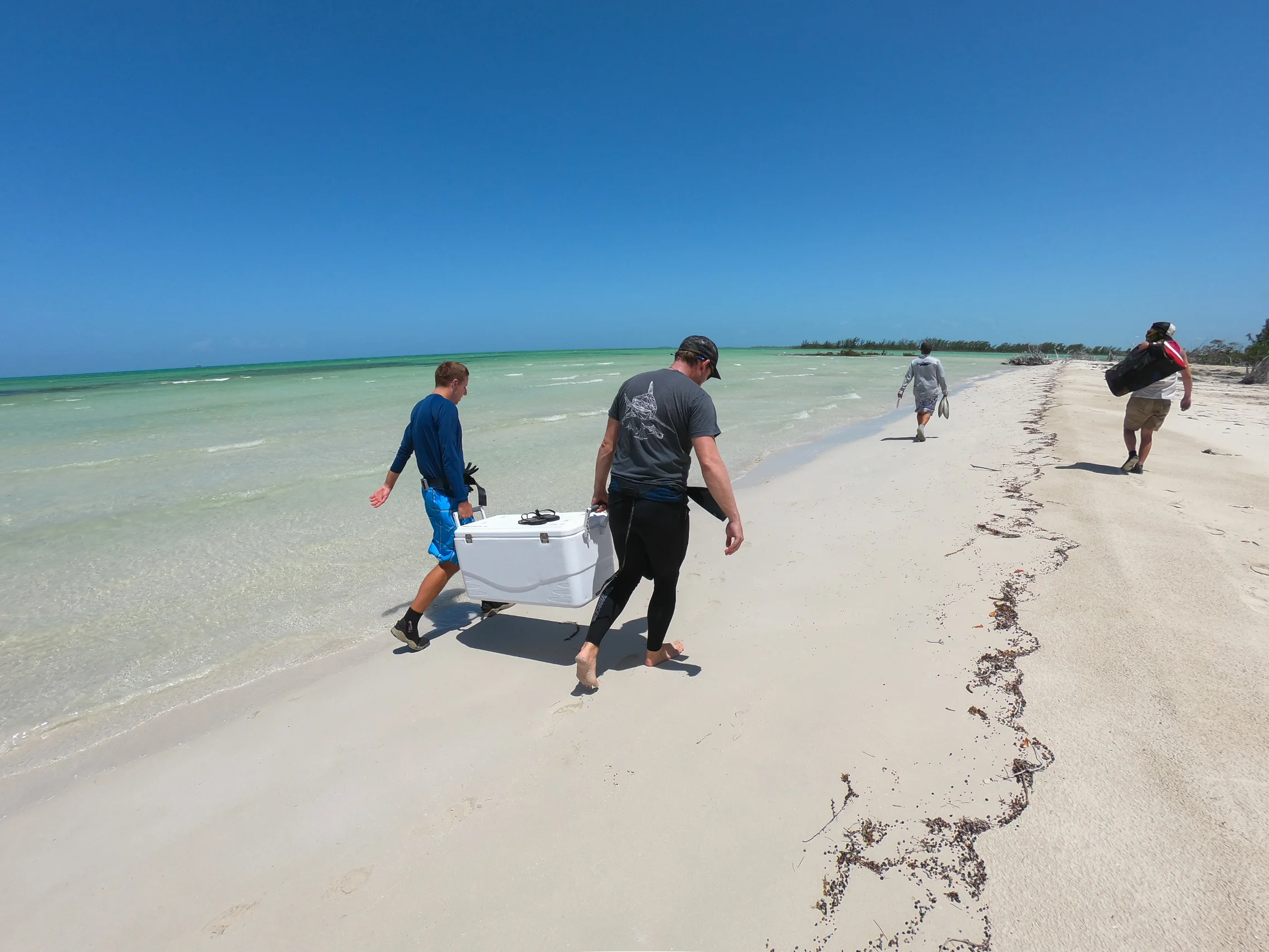Guests prepare to explore a potential sawfish location