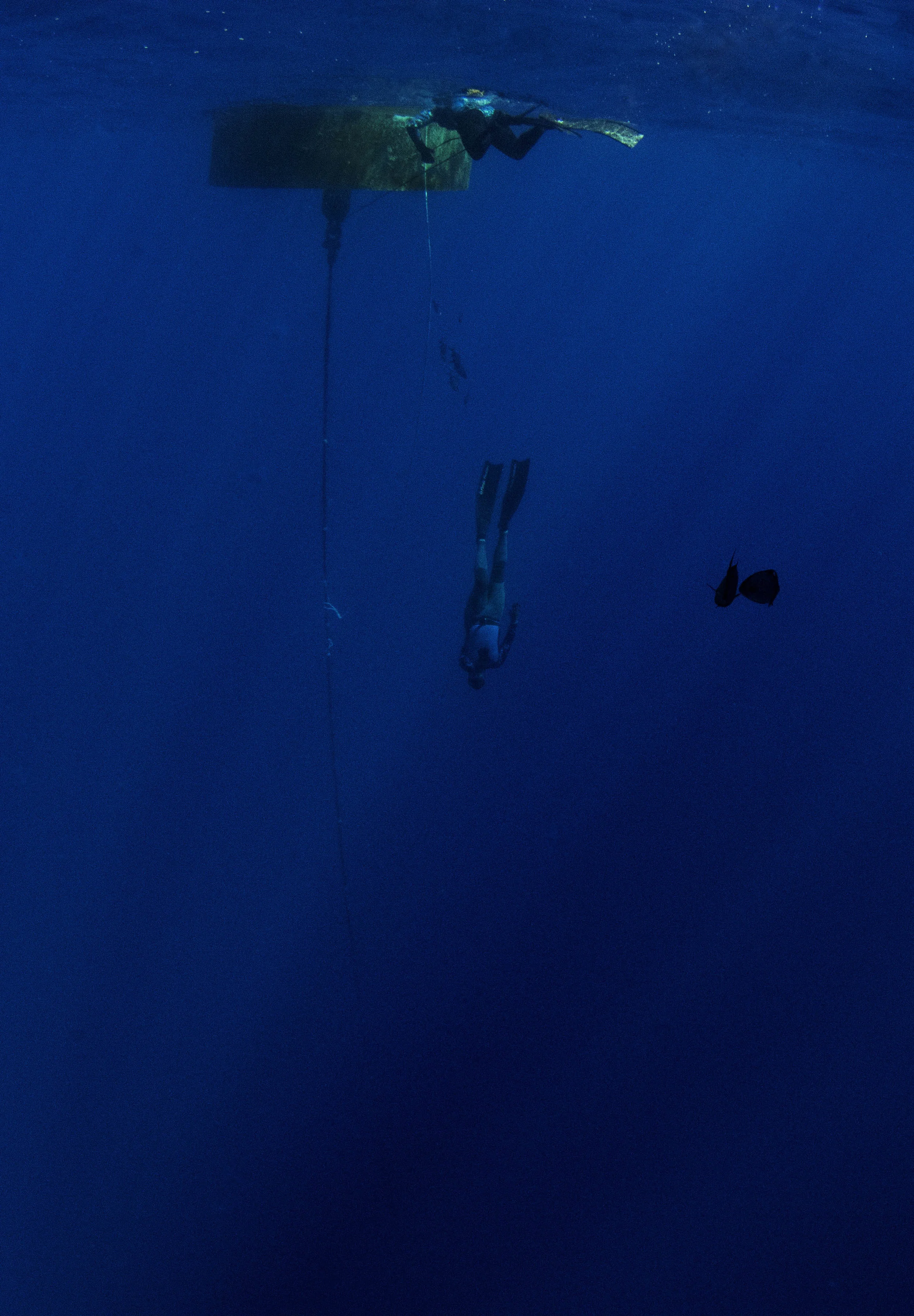 Guests Andy and Nicky buddy up to practice some freedive safety