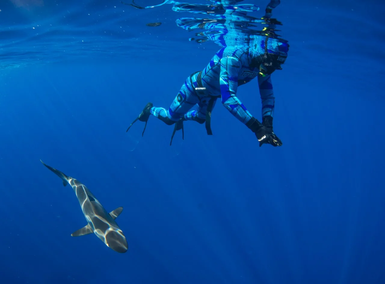 thumbnail_Day 2 - Silky Shark w- Nick.jpg