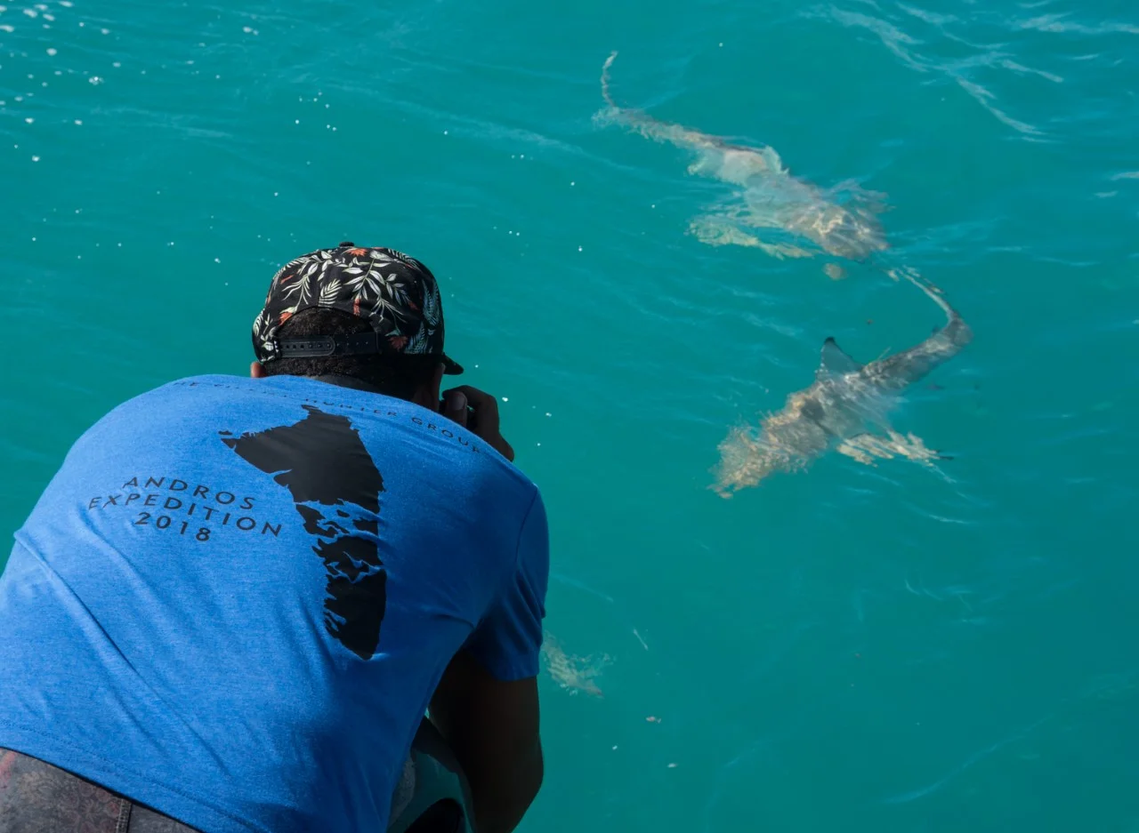 Guest Alex gets a front row seat as he captures some imagery of the photogenic blacktips
